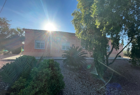 Resale - Finca - Crevillente - Inland