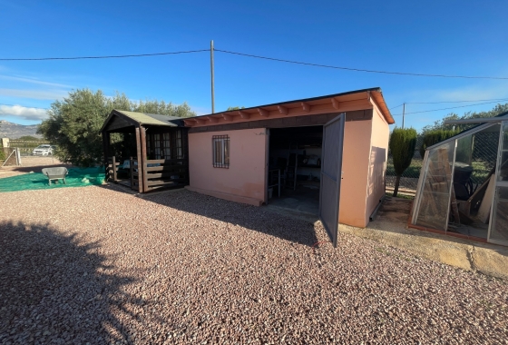 Resale - Finca - Crevillente - Inland