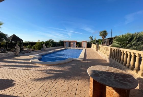 Resale - Finca - Crevillente - Inland