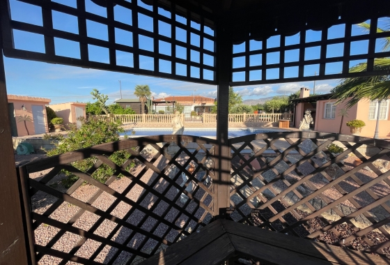 Resale - Finca - Crevillente - Inland