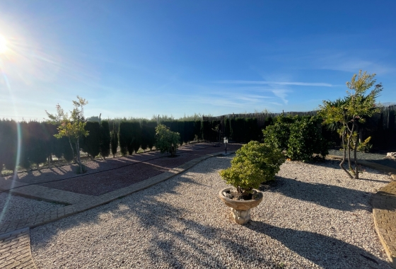 Resale - Finca - Crevillente - Inland