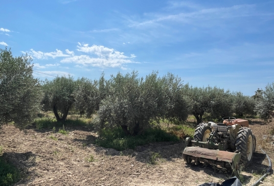 Resale - Villa - Crevillente - Inland