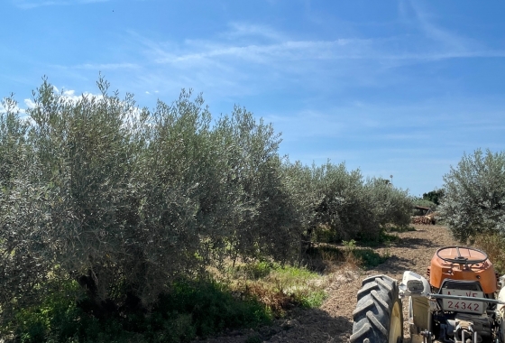 Resale - Villa - Crevillente - Inland