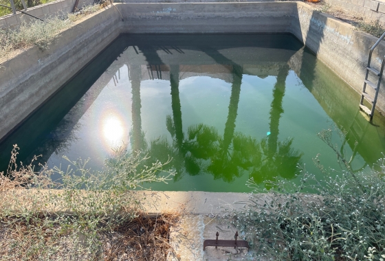 Resale - Villa - Crevillente - Inland