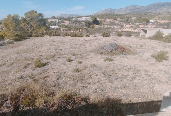 Resale - Villa - Crevillente - Inland