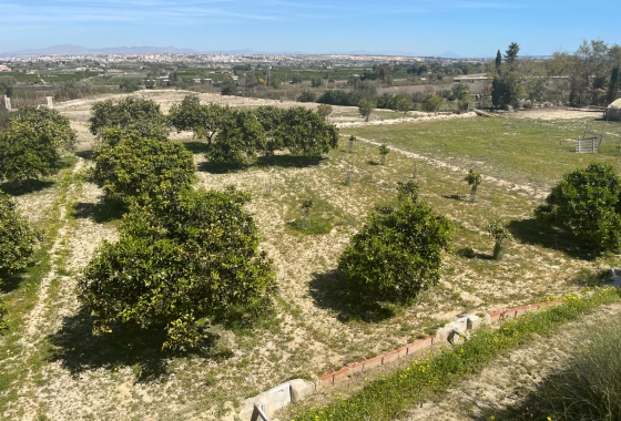 Resale - Villa - Guardamar del Segura - Costa Blanca