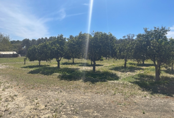 Resale - Villa - Guardamar del Segura - Costa Blanca