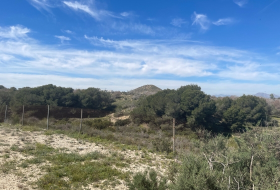 Resale - Villa - Guardamar del Segura - Costa Blanca