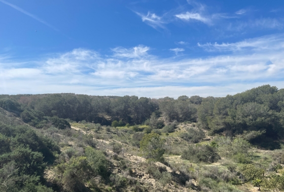 Resale - Villa - Guardamar del Segura - Costa Blanca