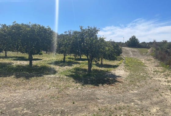 Resale - Villa - Guardamar del Segura - Costa Blanca