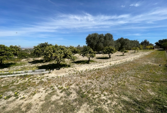 Resale - Villa - Guardamar del Segura - Costa Blanca