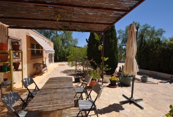 Reventa - Finca - Crevillente - Inland