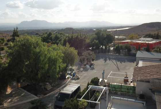 Reventa - Finca - Crevillente - Inland