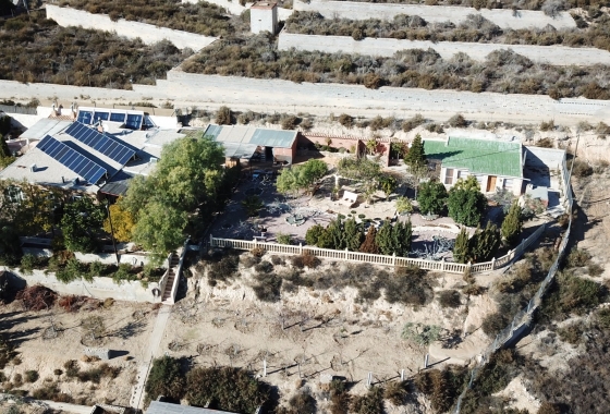 Reventa - Finca - Crevillente - Inland