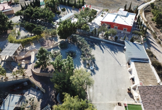 Reventa - Finca - Crevillente - Inland