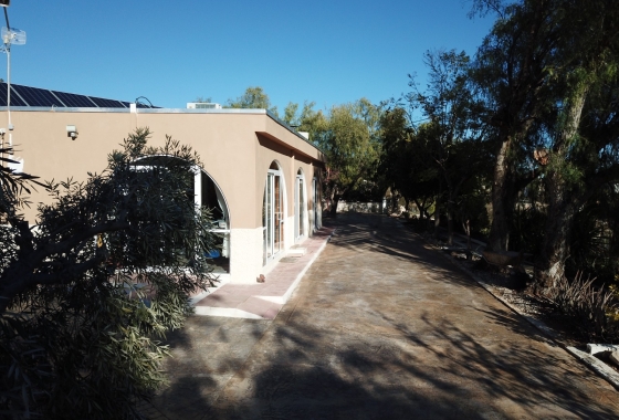 Reventa - Finca - Crevillente - Inland