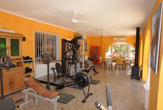 Reventa - Finca - Crevillente - Inland