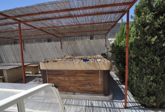 Reventa - Finca - Crevillente - Inland