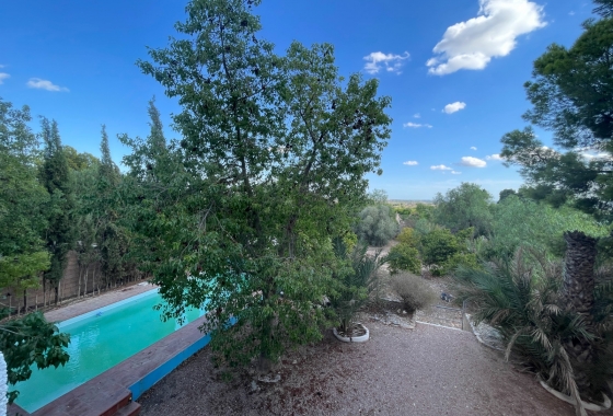 Resale - Finca - Albatera - Inland