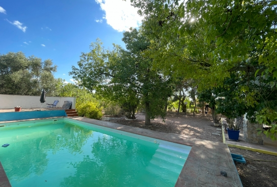 Resale - Finca - Albatera - Inland