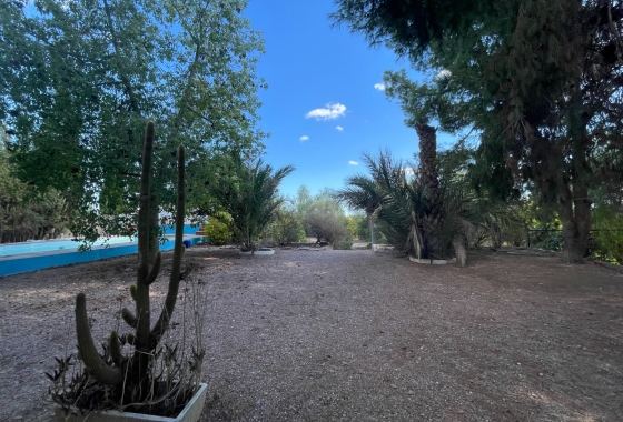 Resale - Finca - Albatera - Inland