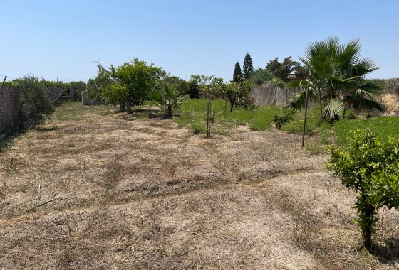 Resale - Villa - Daya Nueva - Costa Blanca