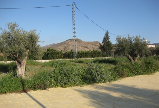 Resale - Finca - Benferri - Inland