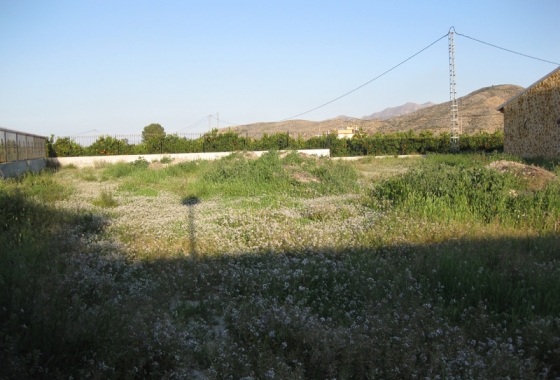 Resale - Finca - Benferri - Inland