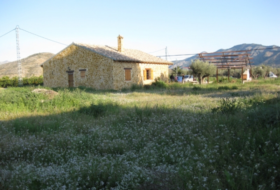 Resale - Finca - Benferri - Inland