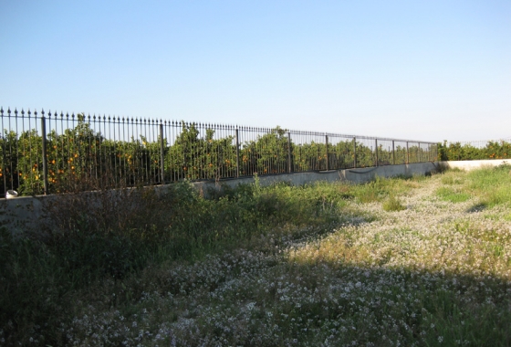 Resale - Finca - Benferri - Inland