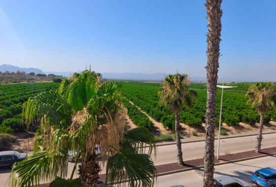 Resale - Townhouse - Algorfa - Inland