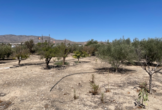 Resale - Villa - Crevillente - Inland