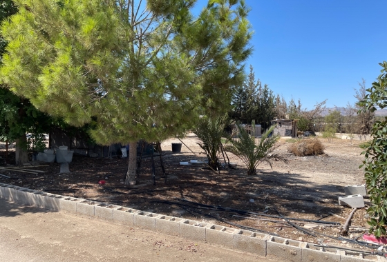 Resale - Villa - Crevillente - Inland