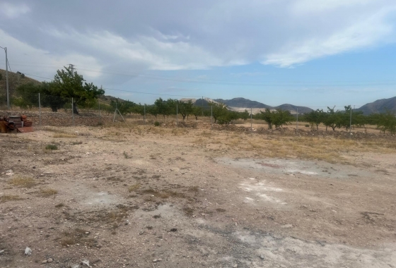 Herverkoop - Villa - La Solana