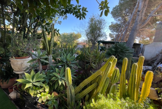 Resale - Villa - Orihuela Costa - Costa Blanca