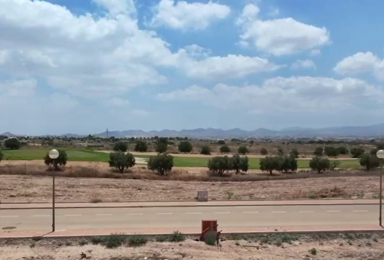 Obra nueva - Chalet - Fuente Álamo - Fuente Alamo