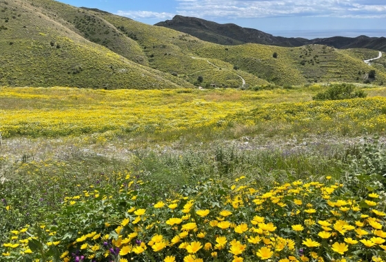 Resale - Finca - Cartagena - Costa Calida