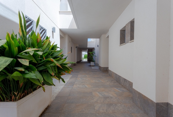 Resale - Apartment / flat - Torrevieja - Costa Blanca