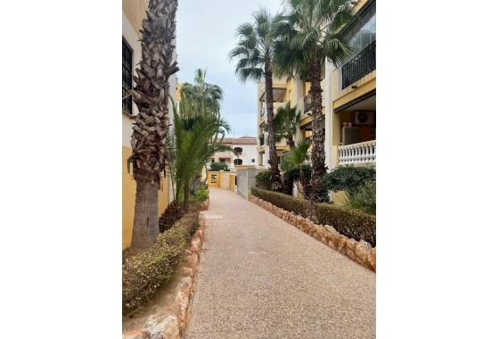 Resale - Penthouse - Torrevieja - Los Frutales