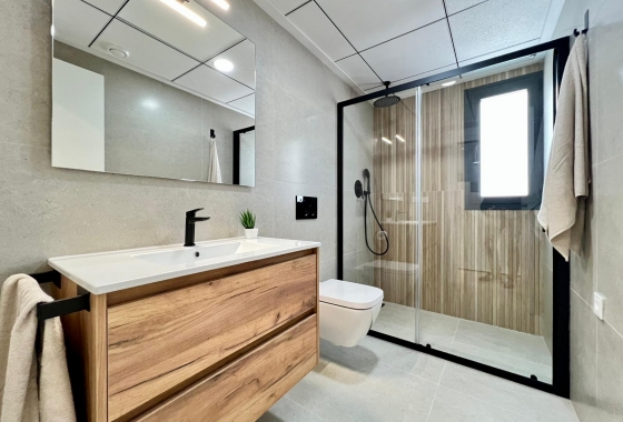 Nybyggnation - Chalet - Benferri