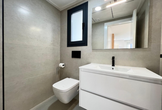 Nybyggnation - Chalet - Benferri