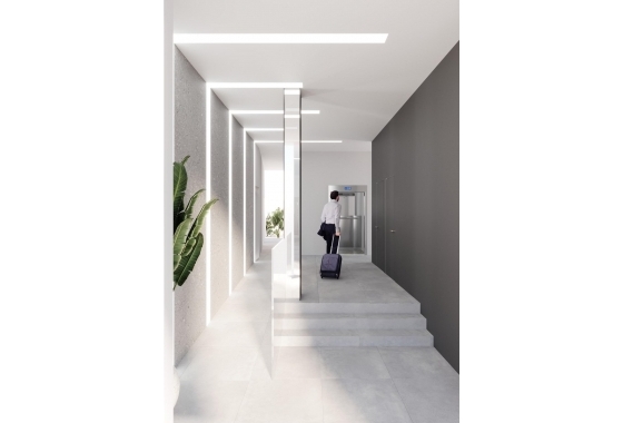 Neue Gebäude - Wohnung - Torrevieja - Centro