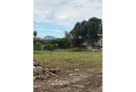 Resale - Finca - Orihuela - San Bartolomé