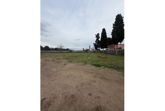 Resale - Finca - Orihuela - San Bartolomé