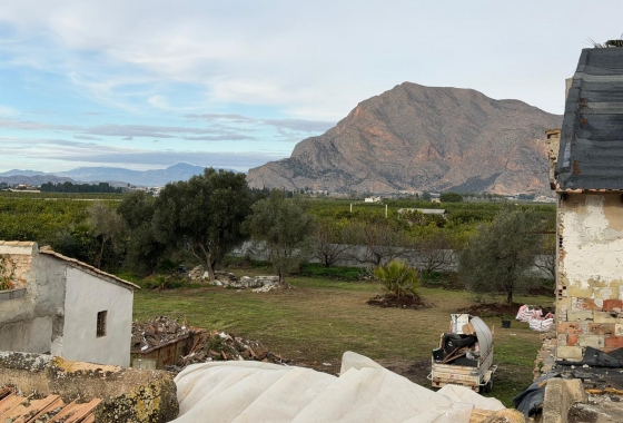 Resale - Finca - Orihuela - San Bartolomé