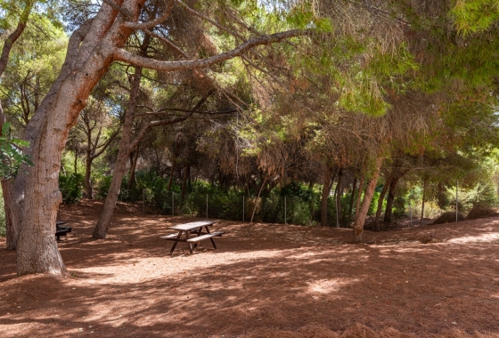 Resale - Apartment / flat - Alicante - Costa Blanca