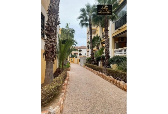 Wiederverkauf - Penthouse - Torrevieja - Los Frutales