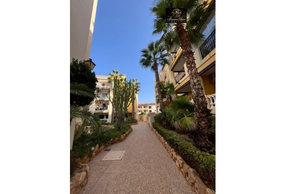 Wiederverkauf - Penthouse - Torrevieja - Los Frutales