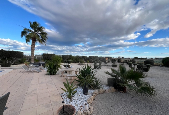 Resale - Villa - Dolores - Comunidad Valenciana