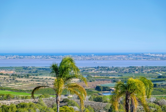 Resale - Villa - San Miguel de Salinas - Inland